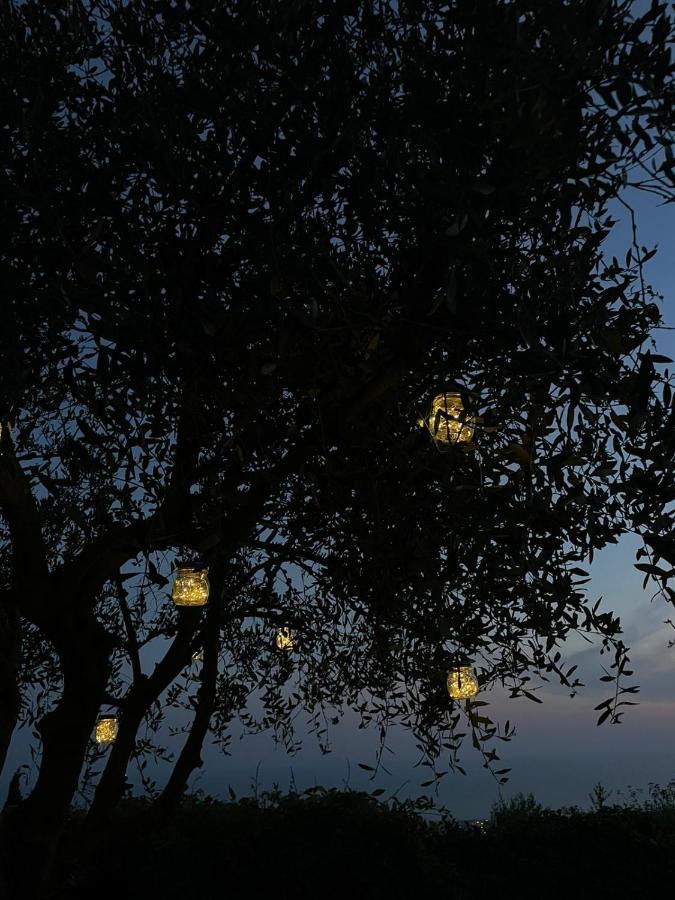 La Terrazza Sulla Versilia ปิเอตราซานตา ภายนอก รูปภาพ