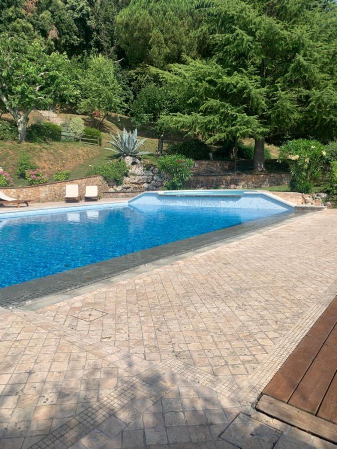 La Terrazza Sulla Versilia ปิเอตราซานตา ภายนอก รูปภาพ