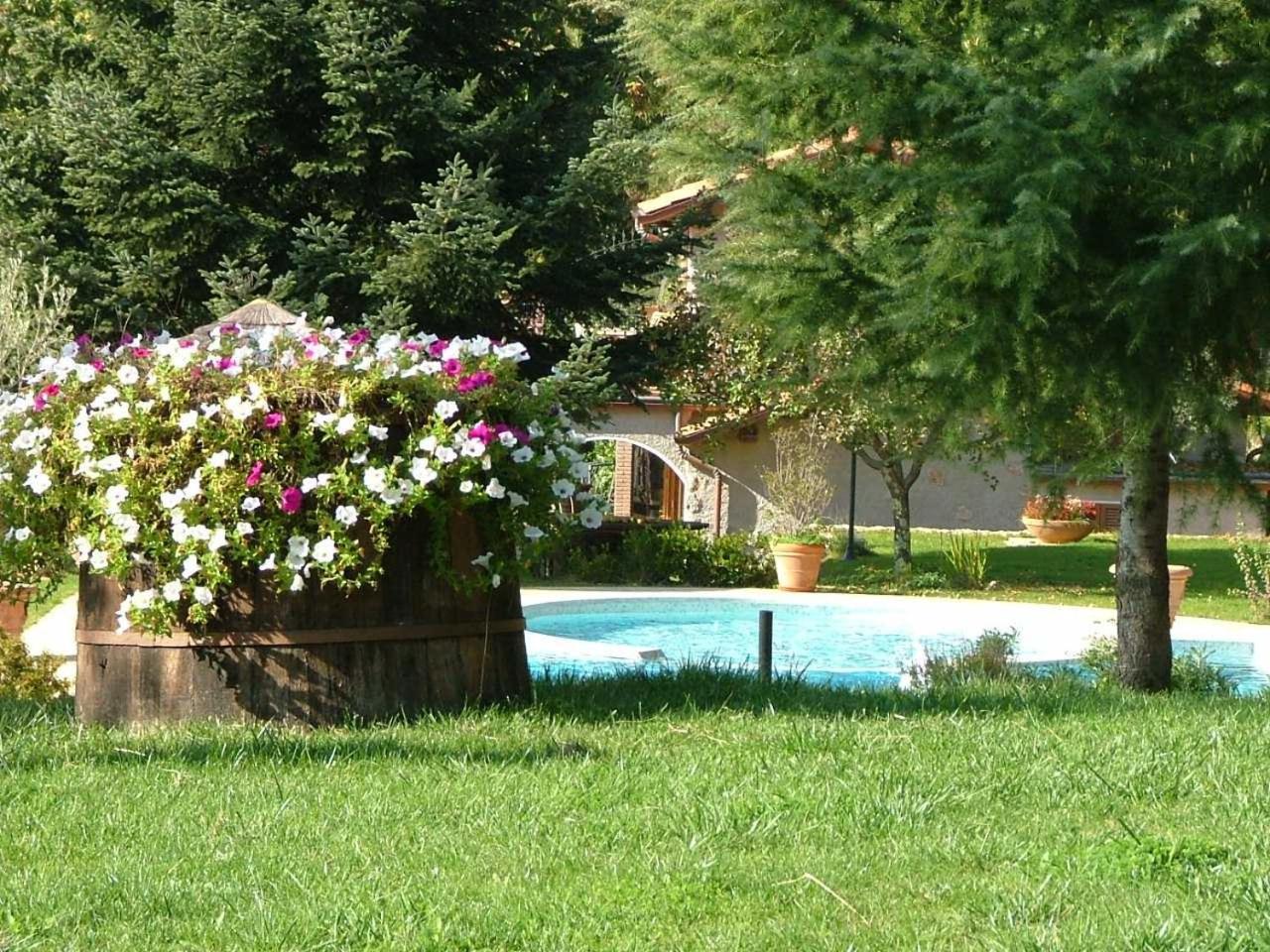 La Terrazza Sulla Versilia ปิเอตราซานตา ภายนอก รูปภาพ