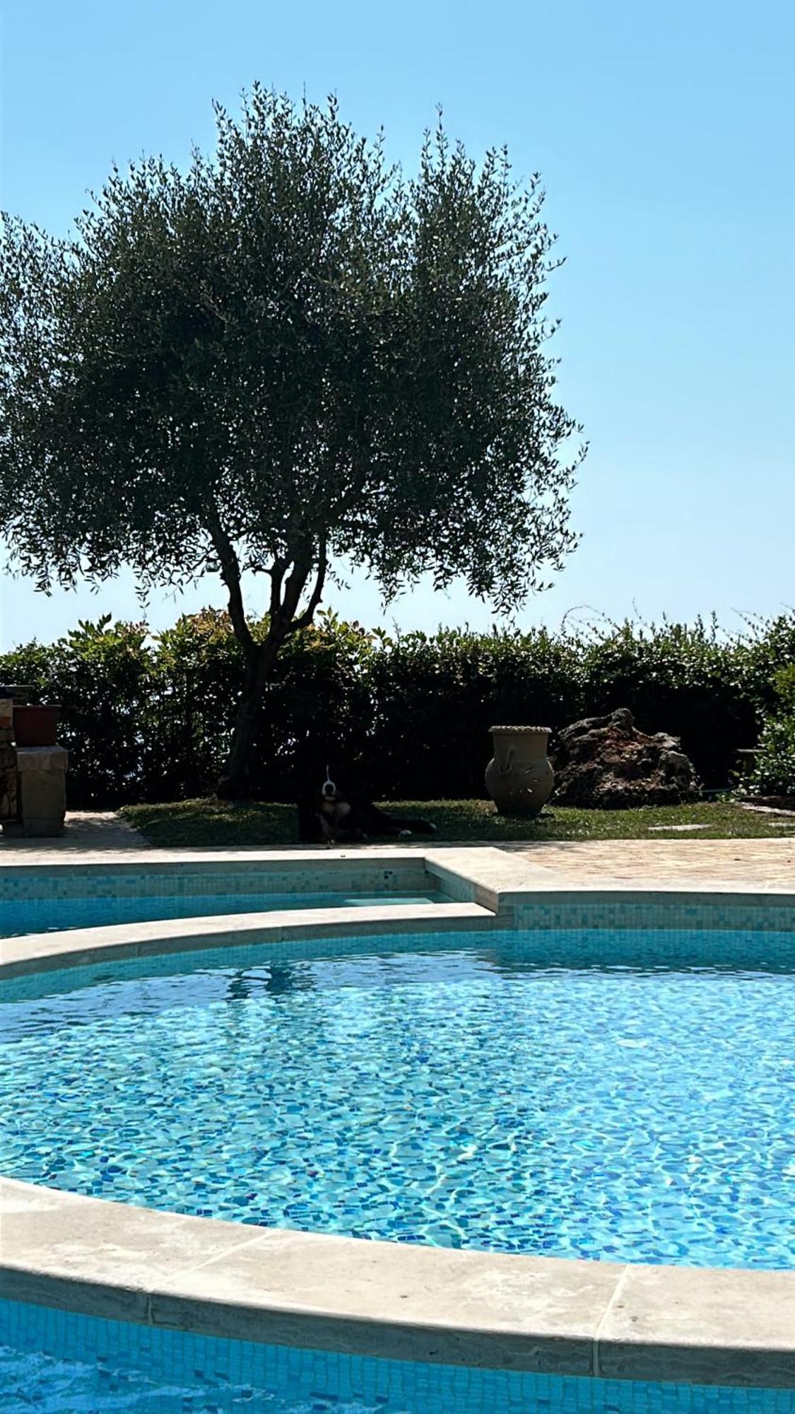 La Terrazza Sulla Versilia ปิเอตราซานตา ภายนอก รูปภาพ
